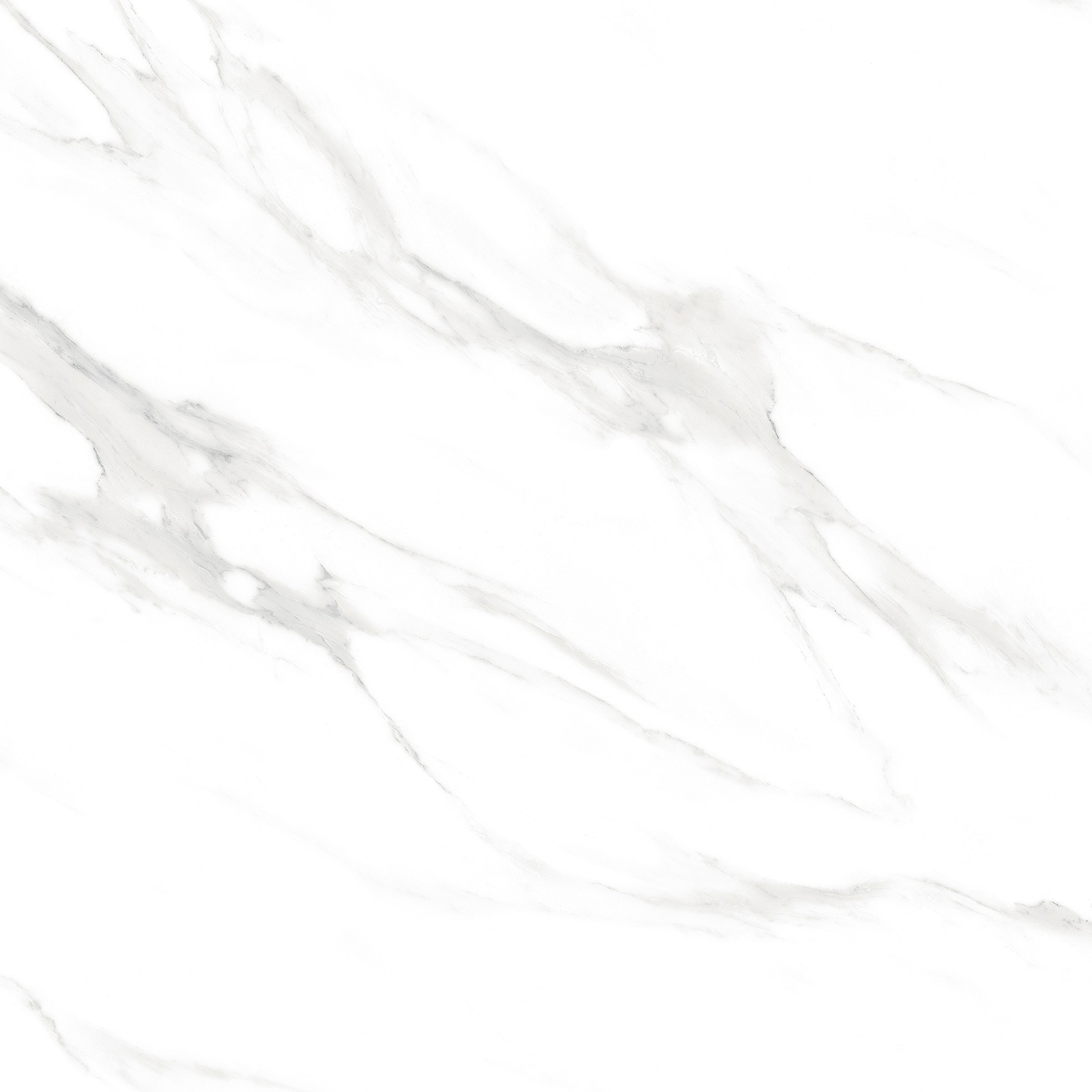5001 7 5001 - Image 7