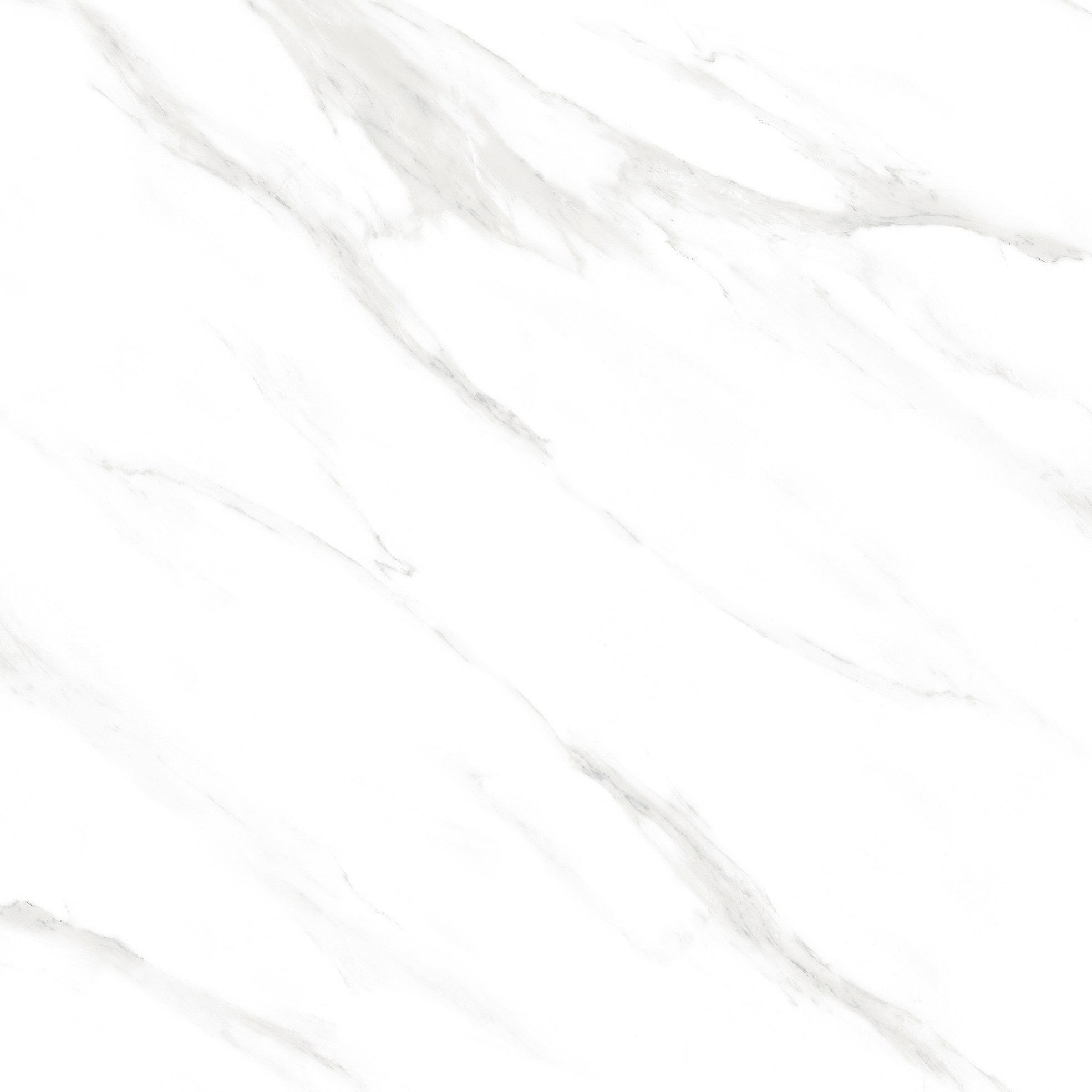 5001 6 5001 - Image 6
