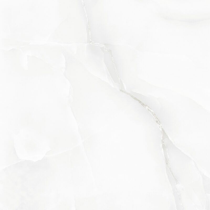 Silver Onyx