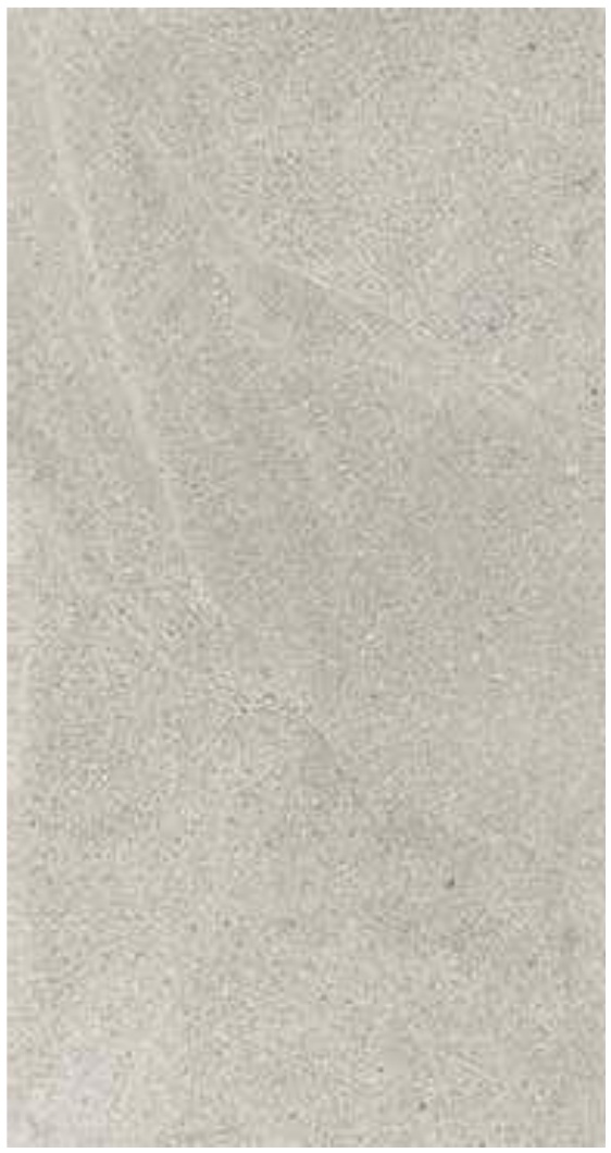 Nordic Grey 2 Nordic Grey - Image 2