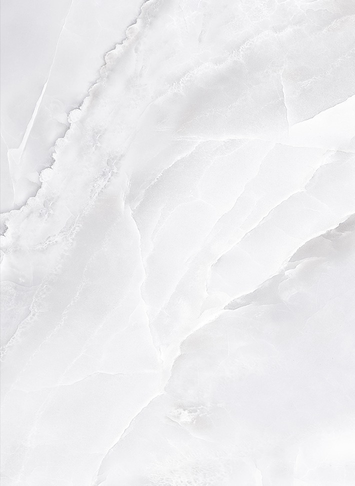 DC-92384928-01 1 DC-92384928-01